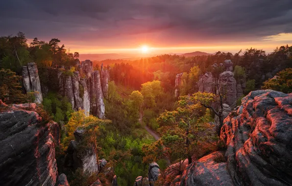 Осень, лес, небо, солнце, облака, лучи, деревья, закат