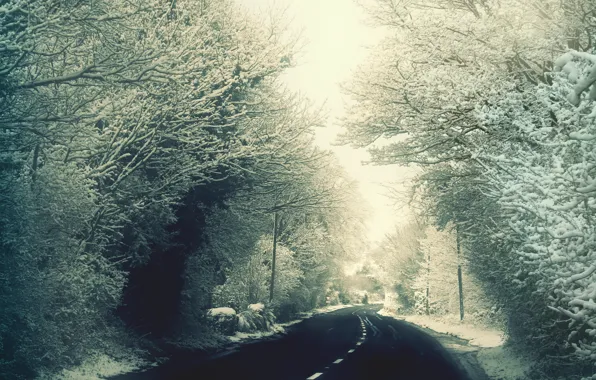 Дорога, снег, деревья