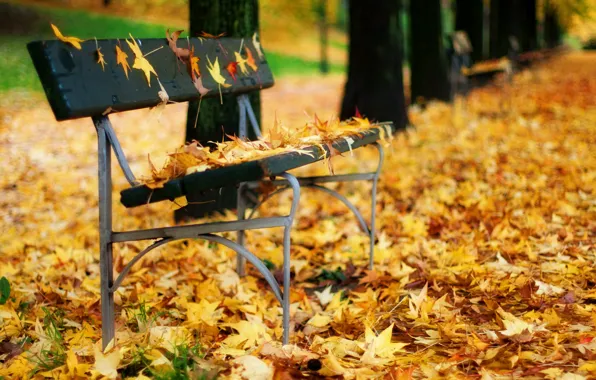 Осень, листья, парк, скамья