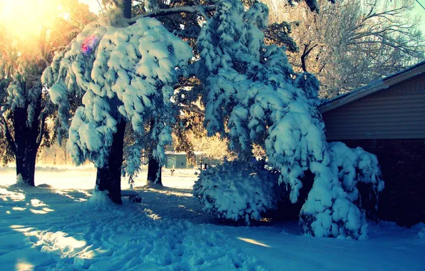 Картинка зима, лучи, снег, деревья, пейзаж, природа, дом, двор