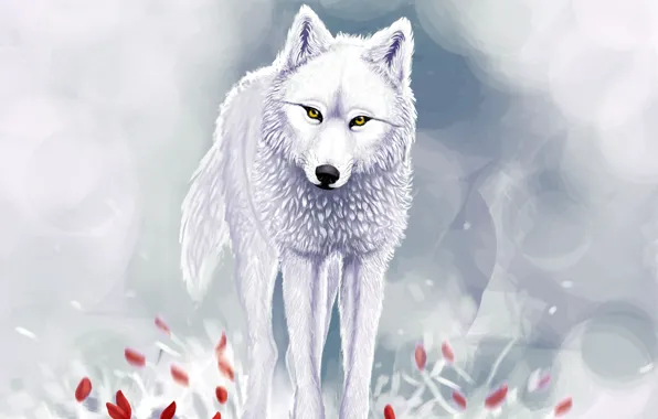 Картинка зима, снег, красные цветы, Белый волк