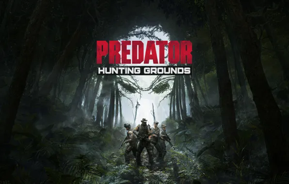Картинка Game, Predator Hunting Grounds, IllFonic