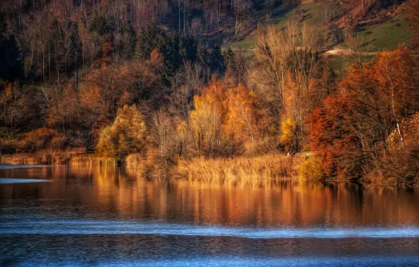Картинка осень, река, обработка