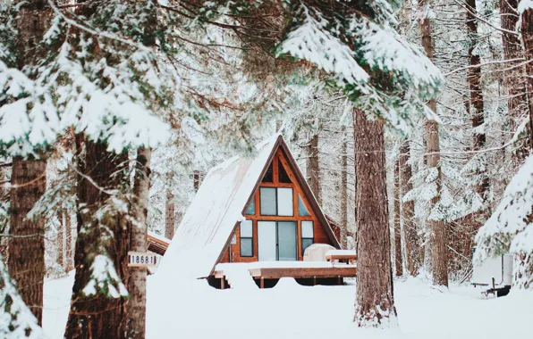 Снег, Snow, Зимний Лес, Winter Forest, Wooden House, Деревянный Домик