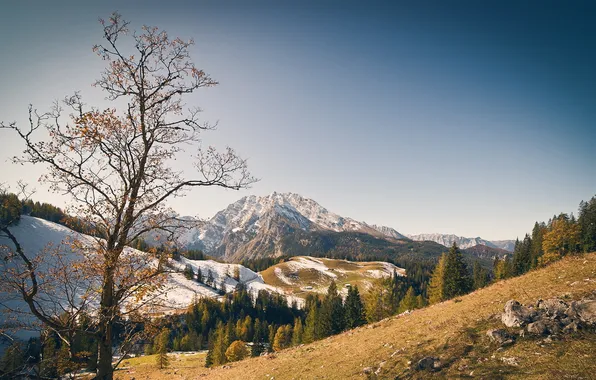 Осень, лес, небо, горы