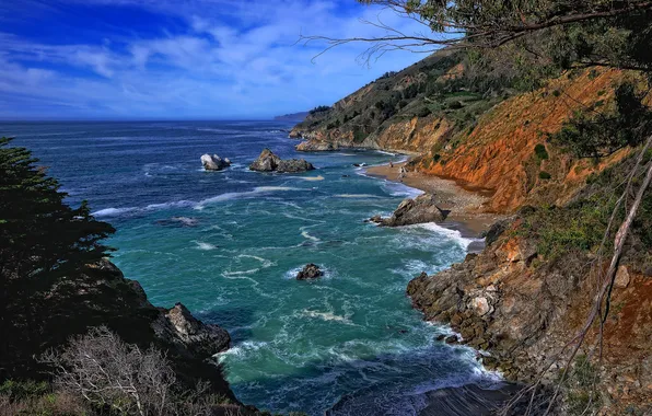 Картинка море, небо, деревья, скалы, Калифорния, США