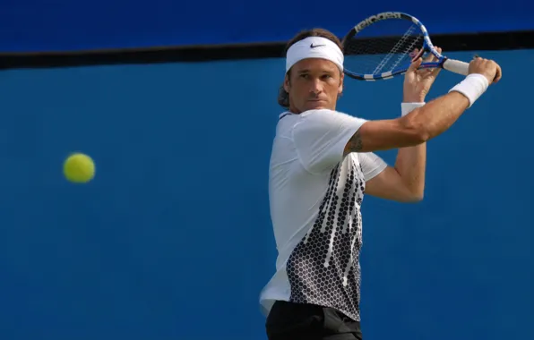 Картинка blue, Tennis, Concentrated, Carlos Moya, Yellow ball