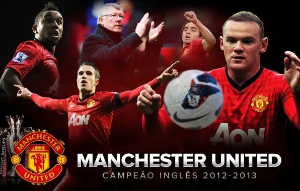 Wallpaper, sport, logo, football, Manchester United, players, manager
