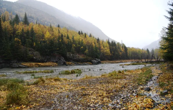 Картинка США, USA, Иллинойс, Autumn, Гора, Muddy, Mountain, Trees