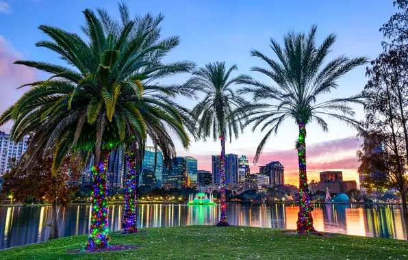 Озеро, парк, пальмы, Флорида, Орландо, иллюминация, Orlando, Florida