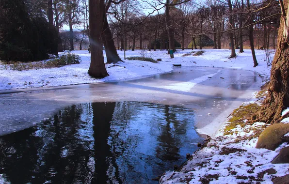 Ice, park, winter, pond