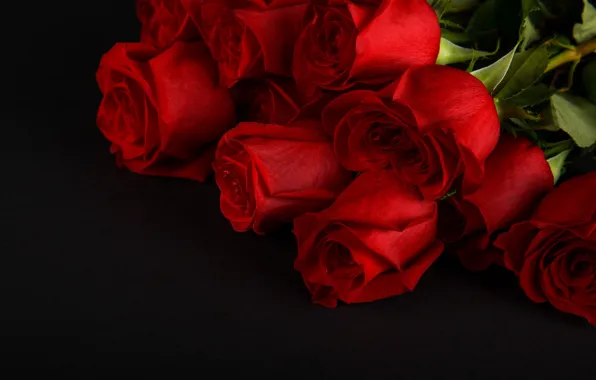 Цветы, розы, букет, красные, red, бутоны, flowers, romantic