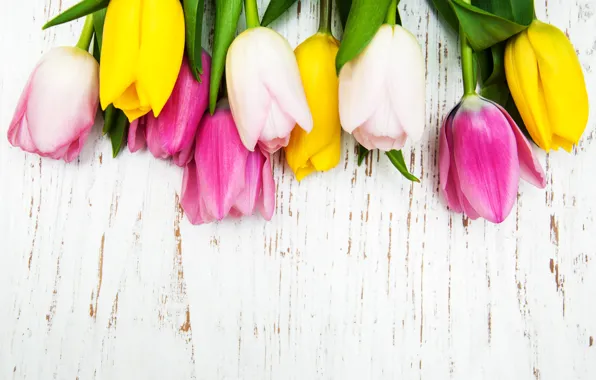 Цветы, букет, тюльпаны, tulips, bouquet, Olena Rudo