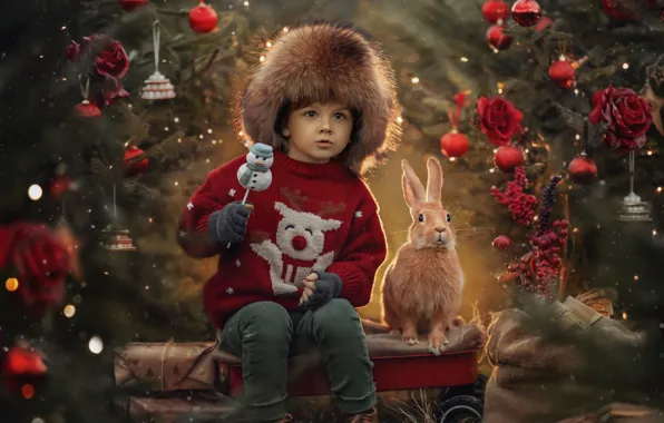 Украшения, животное, праздник, игрушки, новый год, мальчик, кролик, ёлка
