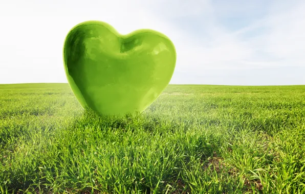 Любовь, green, сердце, love, field, heart
