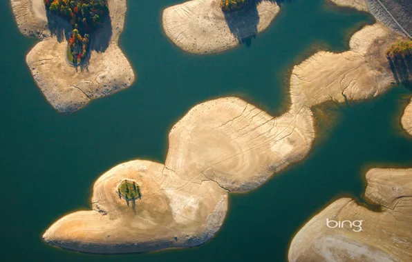 Вода, дерево, берег, островок