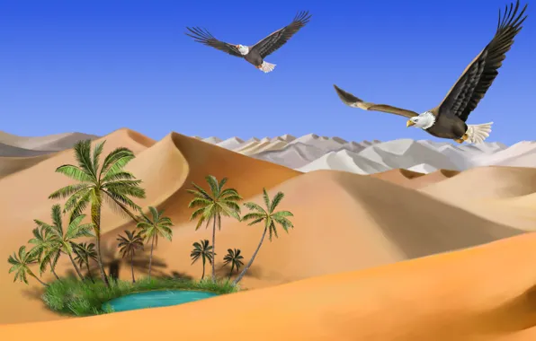 Песок, озеро, пальмы, Пустыня, оазис, полёт, орлов