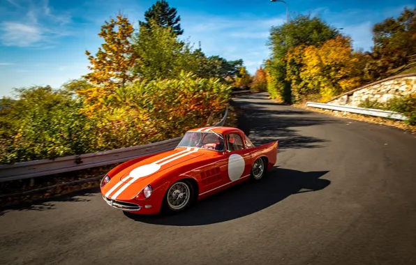 Картинка Дорога, Деревья, 1959, Skoda, Шкода, Гоночный автомобиль, Racing car, Skoda 1100 OHC Coupe