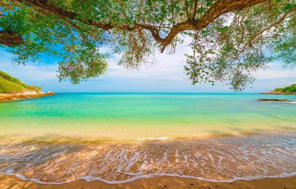 Sky, sea, sun, tropical beach