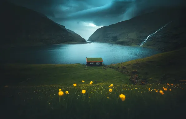 Картинка трава, цветы, горы, домик, фьорд