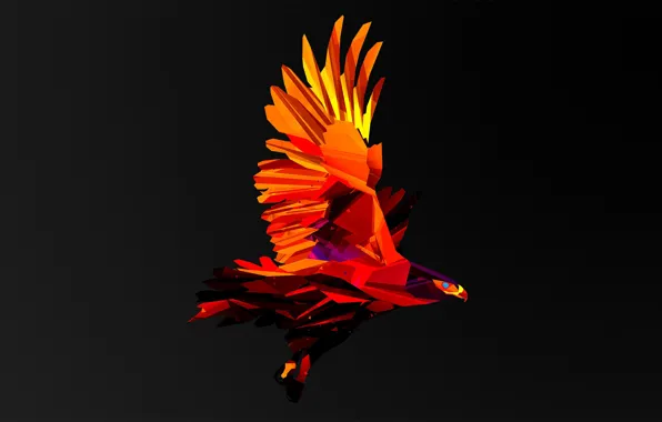 Sky, fly, hawk