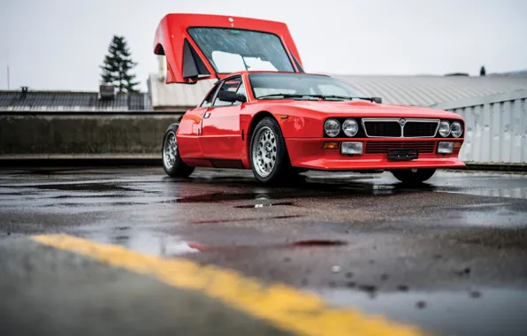 Red, Lancia, Rally, 1981, Lancia Rally 037 Stradale