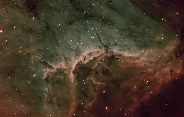 В созвездии, Лебедя, Пеликан туманность, Pelican Nebula