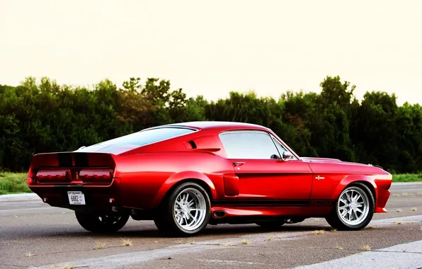 Shelby GT500, cars, auto, 2011