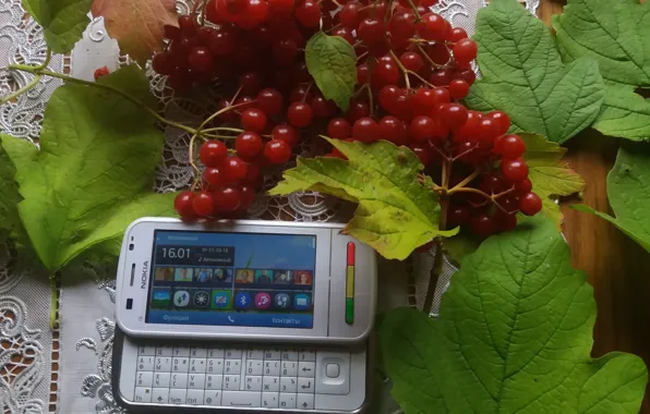 Листья, смартфон, калина, слайдер, нокиа, горизонтальный, С6-00