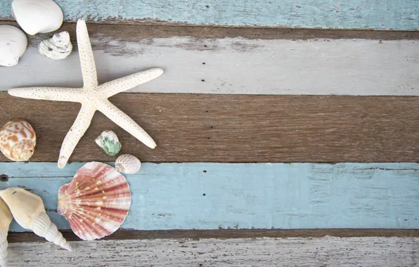 Ракушки, summer, wood, marine, starfish, composition, seashells
