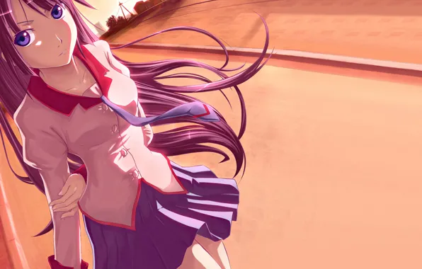 Аниме, Bakemonogatari, Senjougahara Hitagi, Хитаги Сэндзёгахара., История монстров