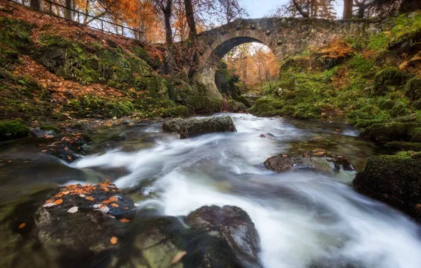 Осень, мост, река, Северная Ирландия, Northern Ireland, Река Шимна, Shimna River, Foley's Bridge