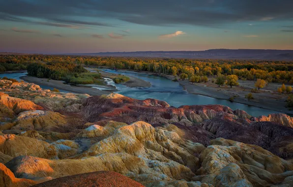 Картинка лес, горы, река, панорама