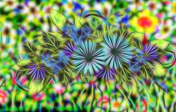 Grafika, Kwiaty, Fractalius