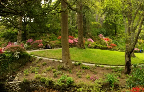Картинка зелень, трава, деревья, скамейка, парк, Великобритания, кусты, Bodnant Gardens Wales