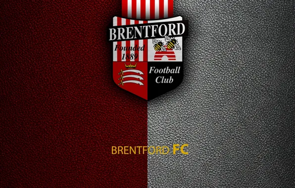 Wallpaper, sport, logo, football, English Premier League, Brentford