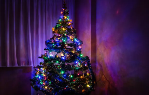 Картинка елка, ель, Рождество, Новый год, Christmas, Ёлка, New, Christmas tree