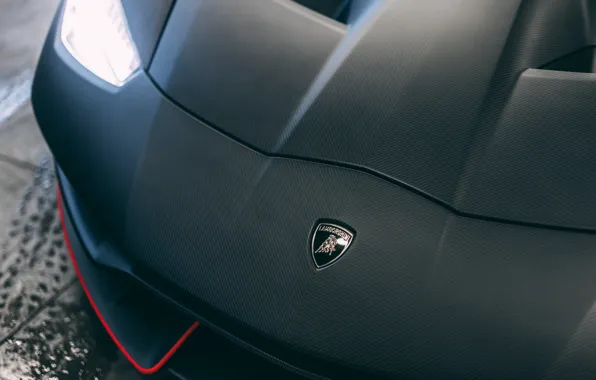 Lamborghini, logo, badge, Lamborghini Centenario, Centenario