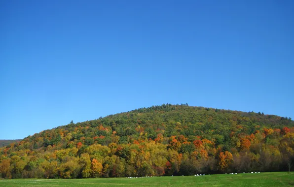 Картинка Природа, Осень, Поля, Nature, Fall, Autumn, Fields