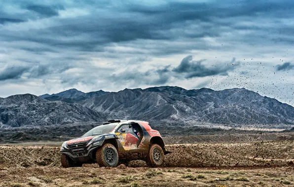 Картинка Горы, 2008, Пежо, Грязь, Peugeot, Dakar, DKR, Baggy