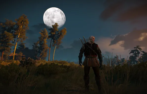 Картинка Witcher, Witcher 3 Wild Hunt, Geralt from Rivia