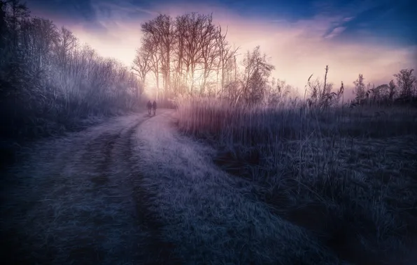 Картинка дорога, природа, туман