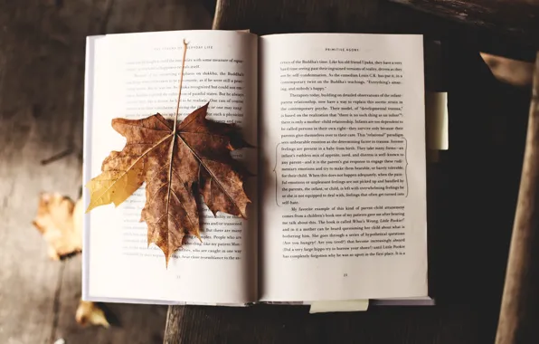 Картинка Autumn, Wallpaper, Mood, Text, Book