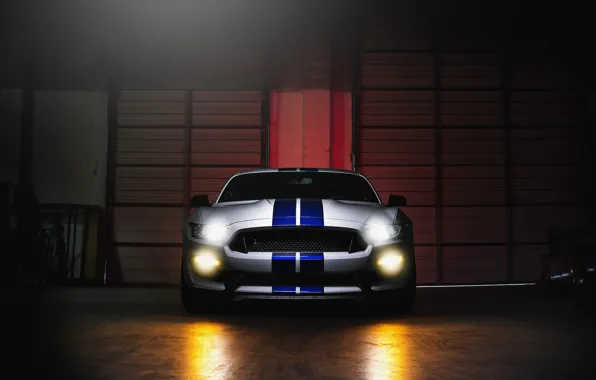 Картинка Mustang, Ford, Shelby, GT500, Light, Front, White, Sight