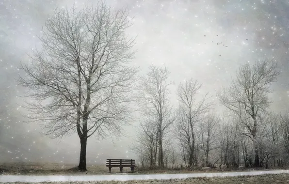 Картинка зима, снег, дерево, скамья
