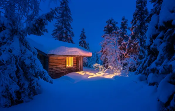 Картинка зима, свет, снег, деревья, пейзаж, ночь, природа, избушка