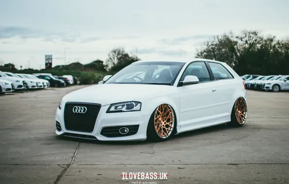 Audi, white, wheels, quattro, tuning, germany, low, stance