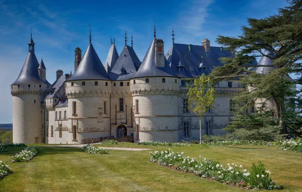 Деревья, цветы, парк, замок, Франция, архитектура, France, Château de Chaumont-sur-Loire