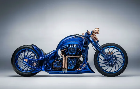 Картинка Синий, Harley-Davidson, Cruiser, Сбоку, Bucherer, Harley-Davidson Blue Edition, Special edition bike, Специальный выпуск мотоцикла