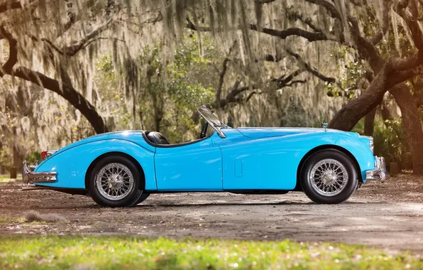 Машина, Jaguar, автомобиль, jaguar xk140 mc roadster